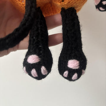Pumpkin kitty