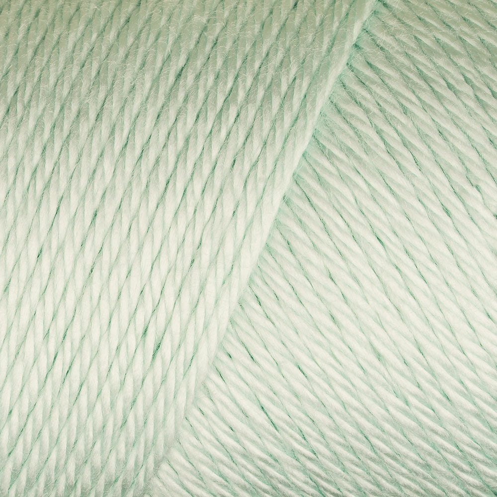 Caron Simply Soft