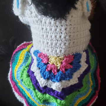 Mandala Dog Dress