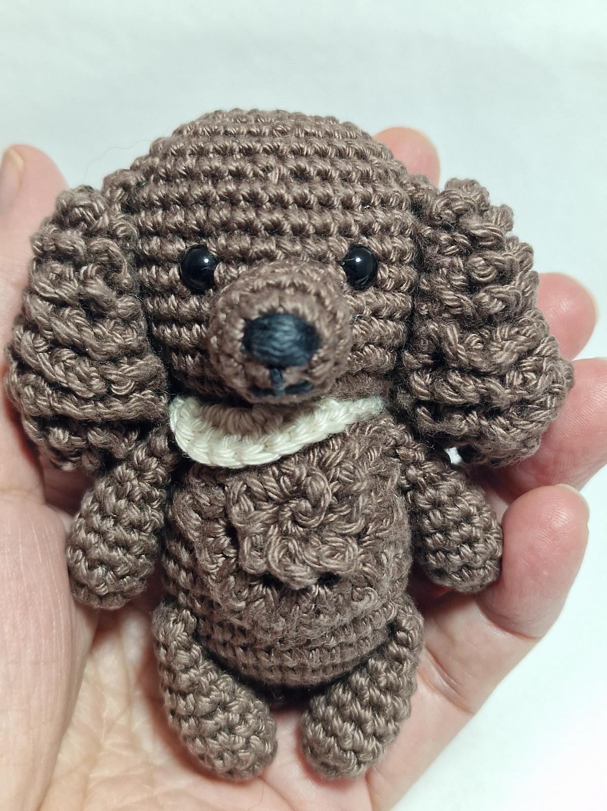 Spaniel Dog
