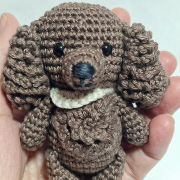 Spaniel Dog
