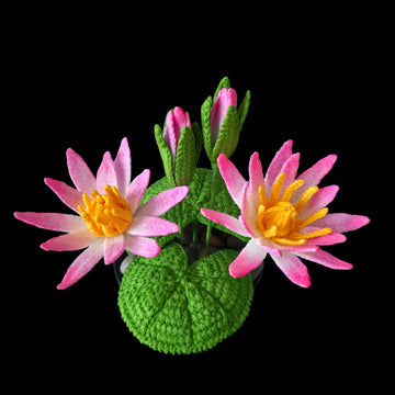 Crochet Water lily flowers pattern
