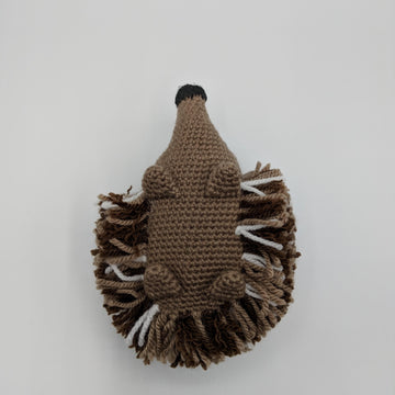 Hamish the hedgehog