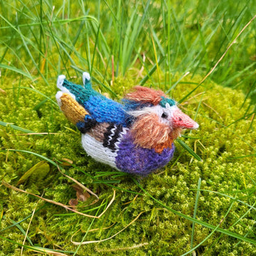 A Plump of Ducks