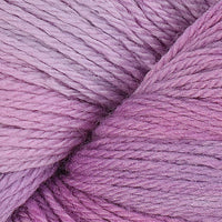 Purple Orchid (2241)