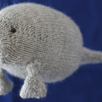 Manatee