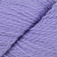 Violet (7809)