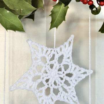 Winter Star Wall Hanging