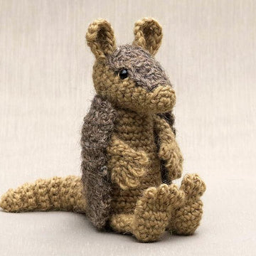 Oakie the armadillo