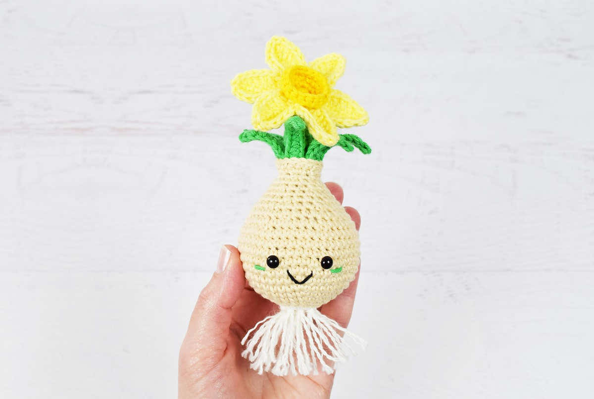 Daffodil Bulb