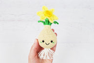 Daffodil Bulb