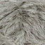 Silver (485)