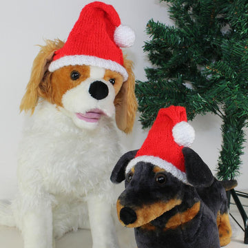 Free Dog Christmas Santa Hat