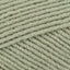 Green Tea (70064)