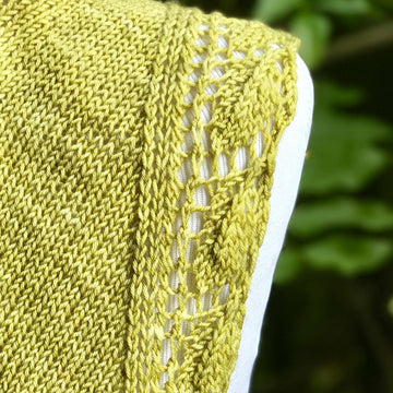 Eve Shawl