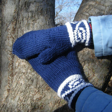 Polar Vortex Mittens