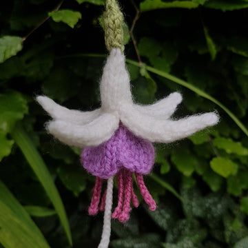 Knitted Fuchsia