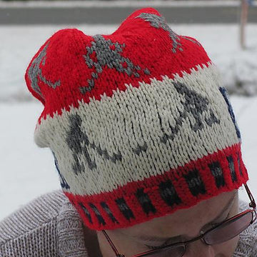 Ice hockey beanie