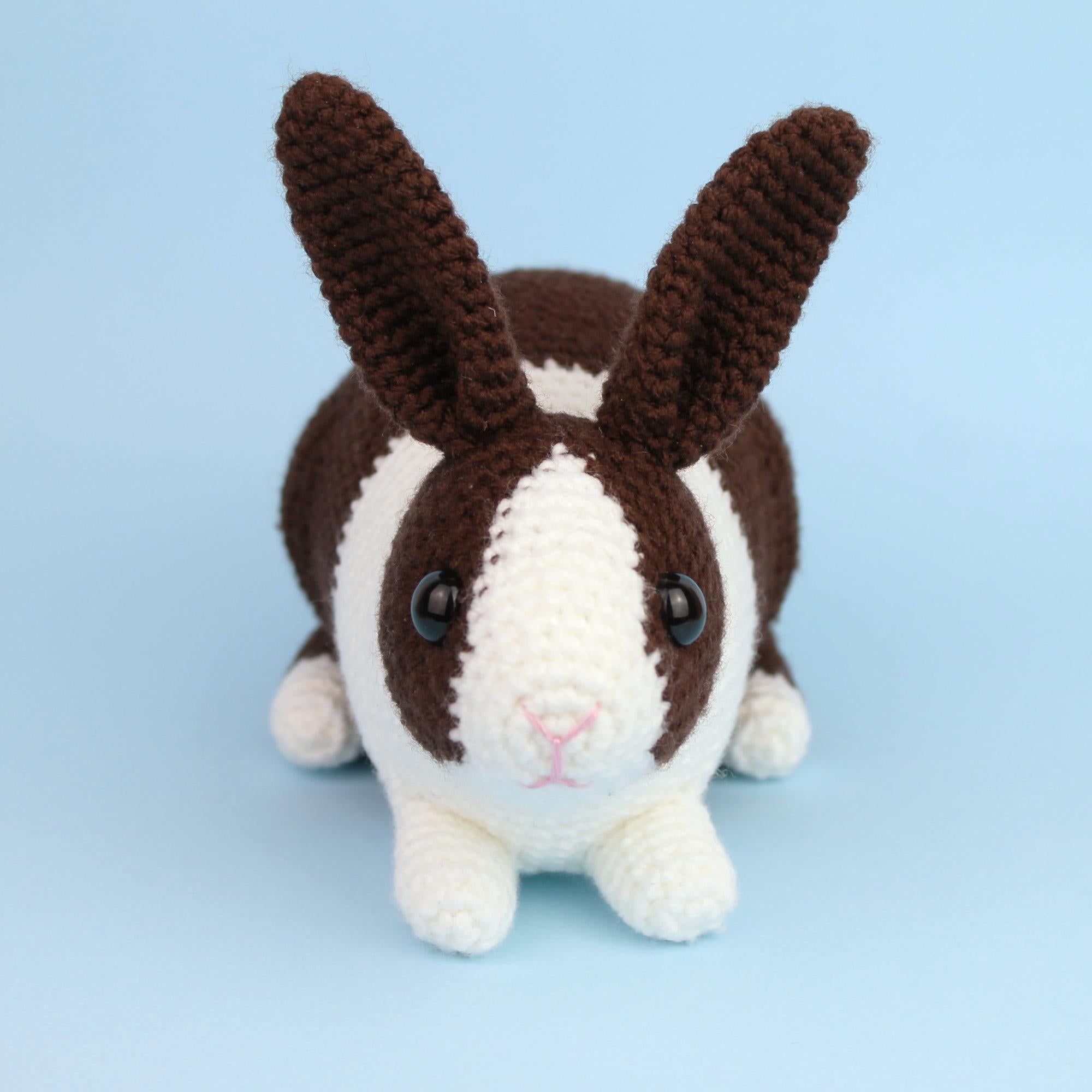 Dutch rabbit