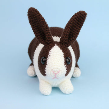 Dutch rabbit