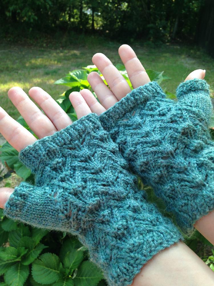 Reptile mitts