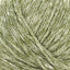 Moss (11)