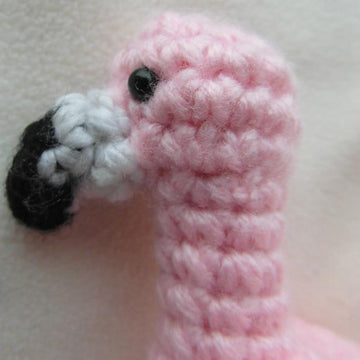 Roy the Flamingo