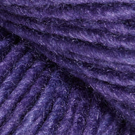 Aster (3038)