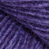 Aster (3038)