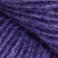 Aster (3038)
