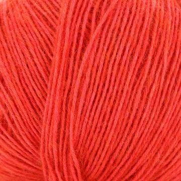 Coral (60)