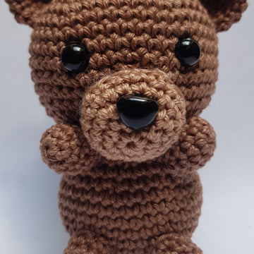 Teddy Bear Friend