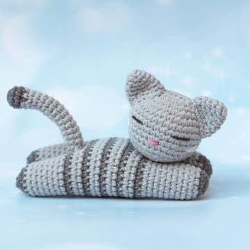 Sleeping kitten