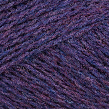 Aubretia (1300)