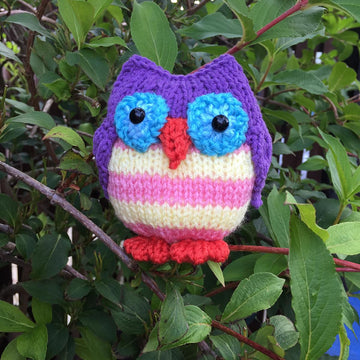 Twooty Owl