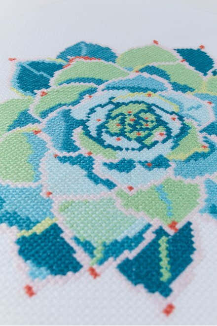 Turquoise Echeveria Succulent in DMC - PAT0563 - Downloadable PDF