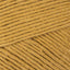 Gold (089)
