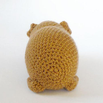 Chubby guinea pig