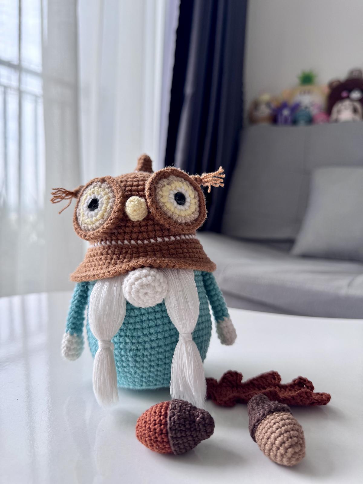 Wise Owl Gnome
