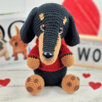 Dachshund