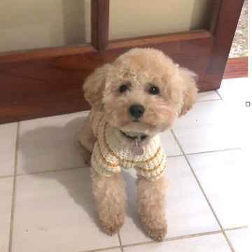Kinder sweater