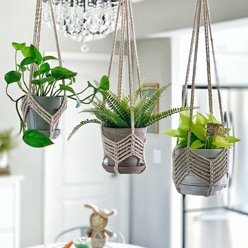 Boho Plant Hangers 074