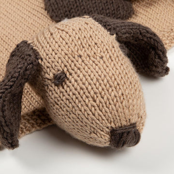 Dog Blanket