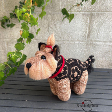 Tiggy The African Flower Yorkshire Terrier