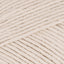 Seashell (466)