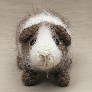 Cake the guinea pig
