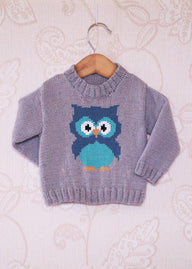 Intarsia - Little Owl Chart - Childrens Sweater