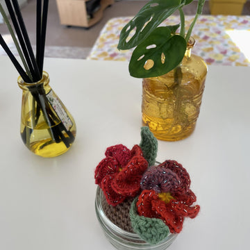 Pansies Flower Gift