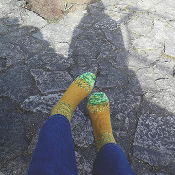 Line art socks