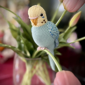Pearl the Budgie